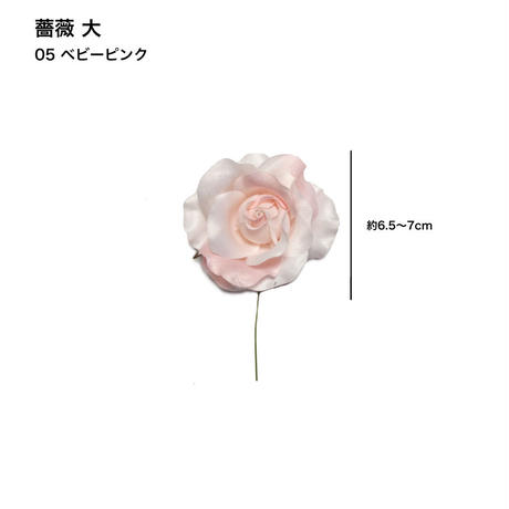 5c6e49623b63655ef26e850e