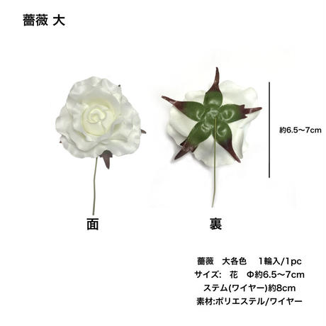 5c6e49623b63655ef26e850e