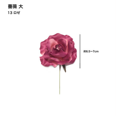 5c6e49623b63655ef26e850e