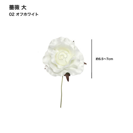 5c6e49623b63655ef26e850e