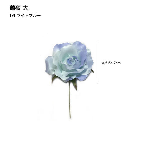 5c6e49623b63655ef26e850e