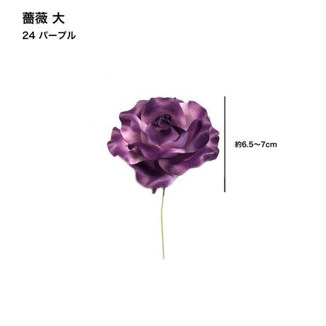 5c6e49623b63655ef26e850e