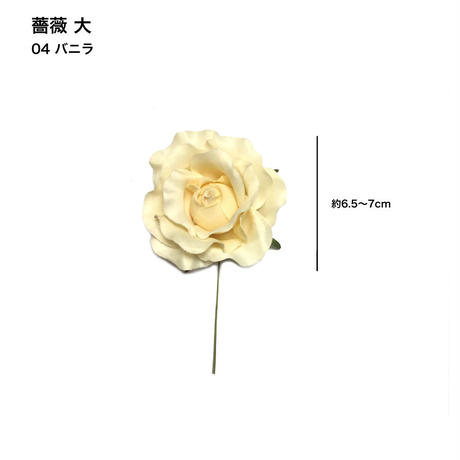 5c6e49623b63655ef26e850e