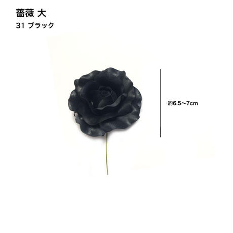 5c6e49623b63655ef26e850e