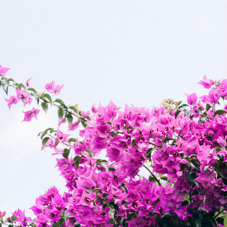 5acb20b4ef843f3840000dd7