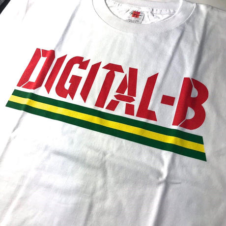 5bdbf6d1ef843f3059000459