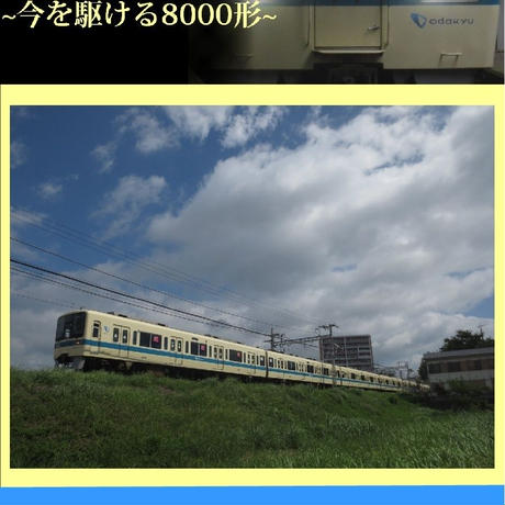 584ccf1841f8e8a8df01475c