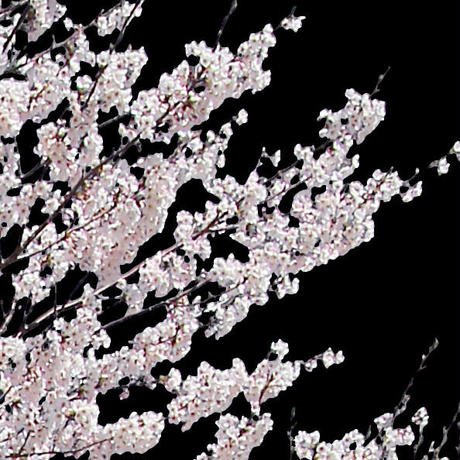 5b704c325496ff055f00511c
