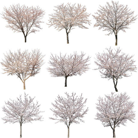 5b704c325496ff055f00511c