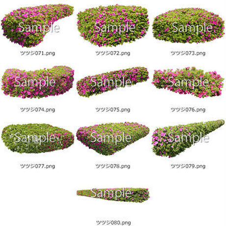 5b6fc3c6ef843f1815001ffb