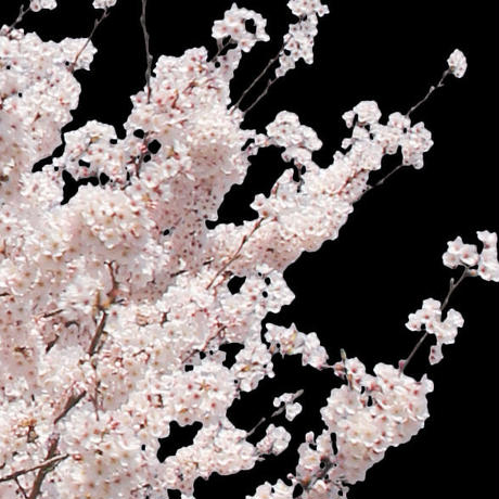 5b7050375496ff74b00043f2