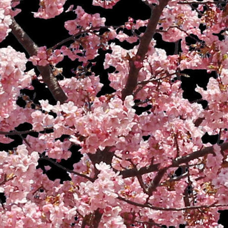 5b7057735496ff14d7002db2