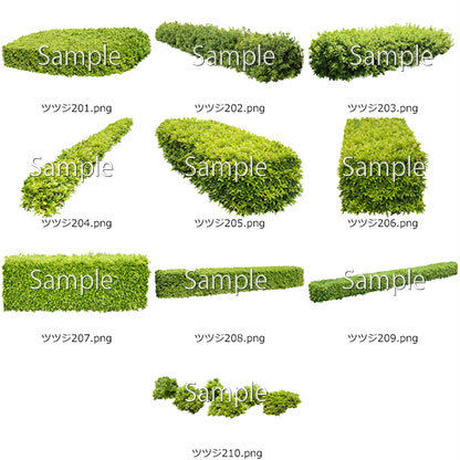5b6fe2665f786649f50025b5