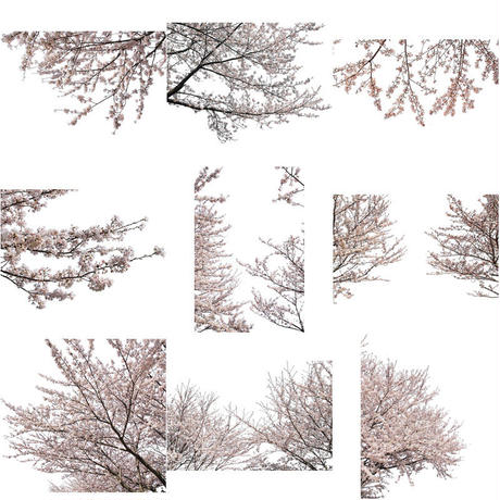 5b7050375496ff74b00043f2