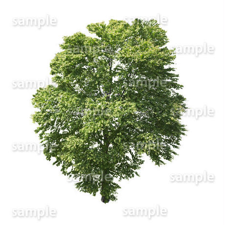 5baa0f0e5496ff40ad0009a3