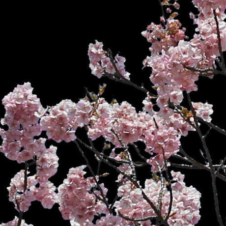 5b7057735496ff14d7002db2
