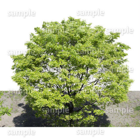 5baa0bf55496ff16560023c5