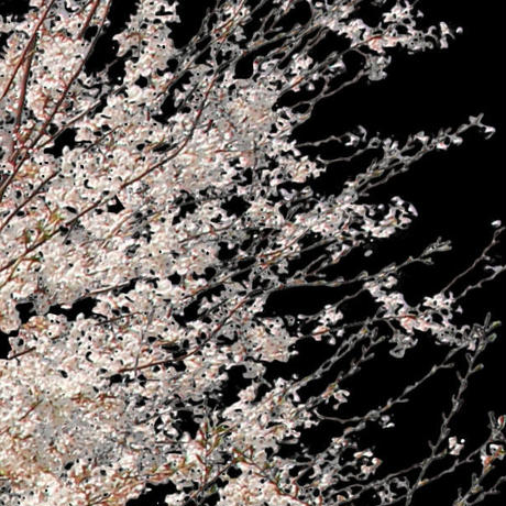 5b70559c5f786631b50078d6