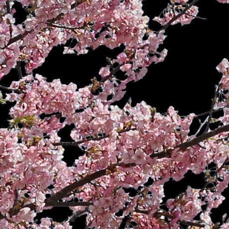 5b7058895496ff3953000445