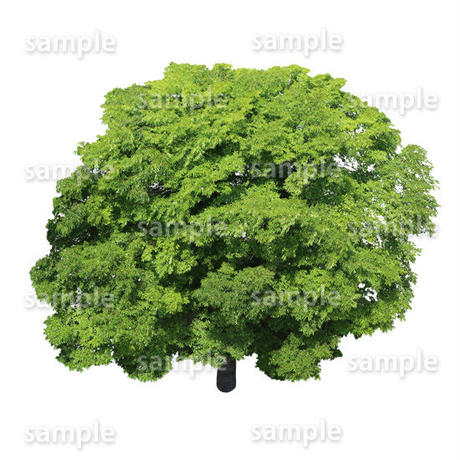 5baa0d6a5f786605ce0002bd