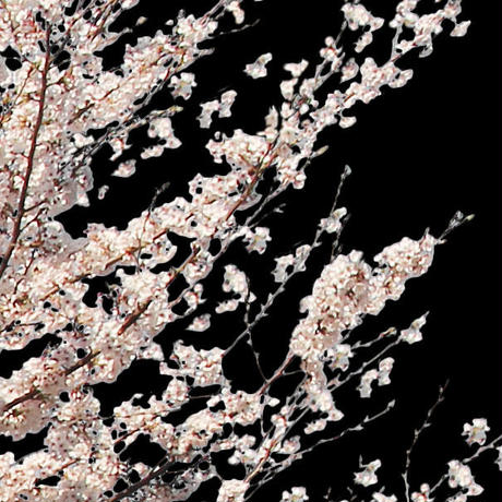 5b704c325496ff055f00511c