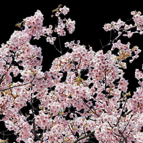 5b7058895496ff3953000445