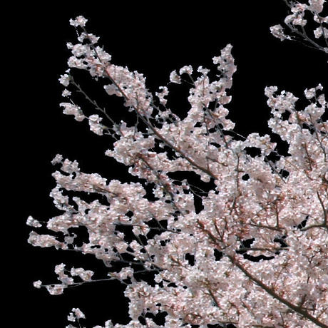5b7048225496ff2f710002f6