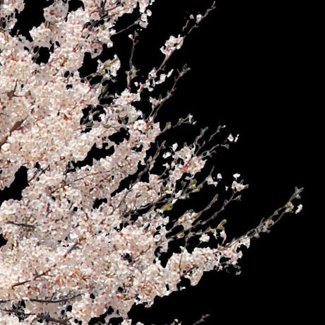 5b704b975496ff3953000097