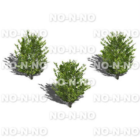 5b70070c5f78663fbd0001fa