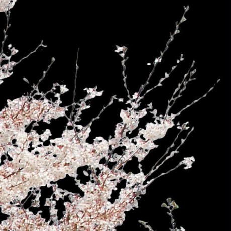 5b704b975496ff3953000097