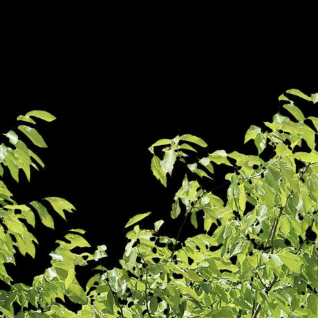 5b71171aa6e6ee43d4001f90