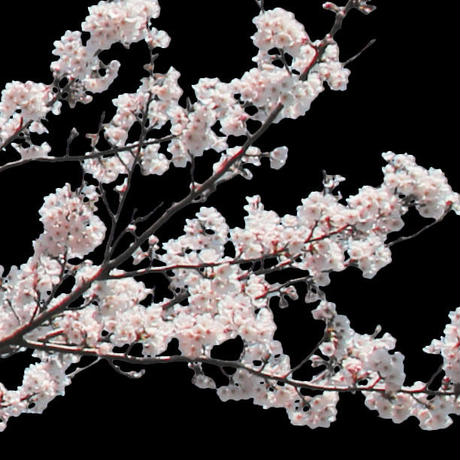 5b7050375496ff74b00043f2