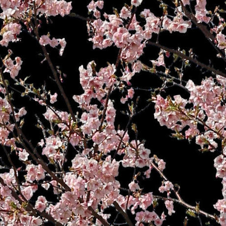 5b7058b9a6e6ee16600002f8