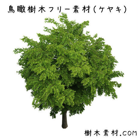 5bbec3ee5496ff43db000079