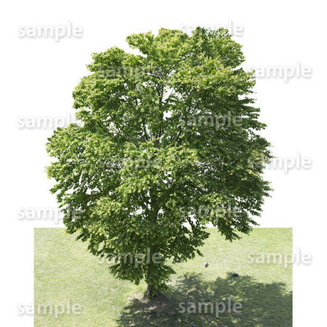 5baa0f0e5496ff40ad0009a3