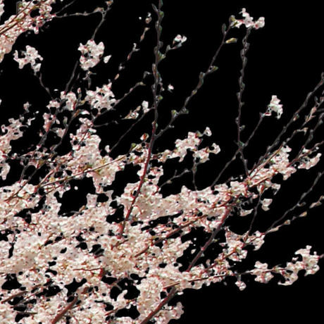 5b704b975496ff3953000097