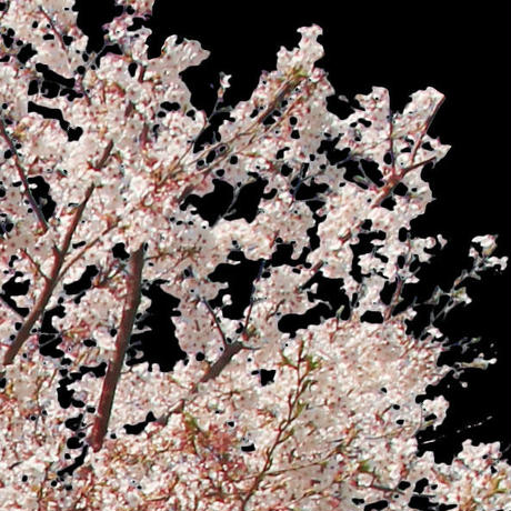 5b704b975496ff3953000097