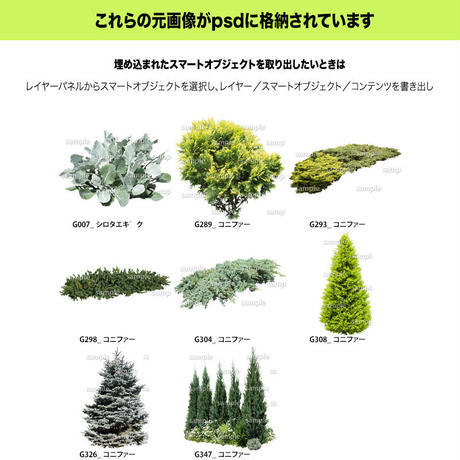 5c7fbd1c808dfa14d96d791e