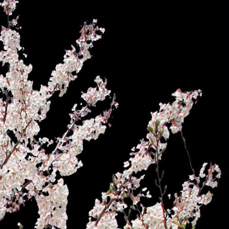 5b704b975496ff3953000097