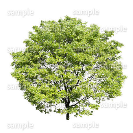5baa0bf55496ff16560023c5