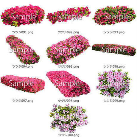 5b6fc4235f786649f50018e5