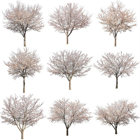 5b704bdc5496ff74b00041f7