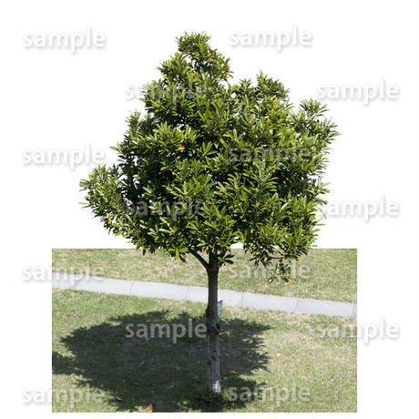 5baa18c9ef843f0ad2002c6b