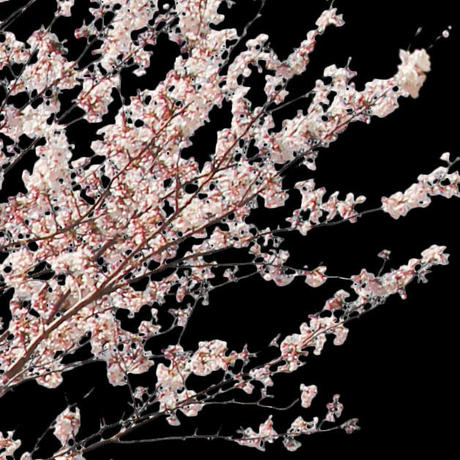 5b704c325496ff055f00511c
