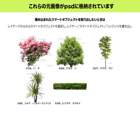 5c7fc338808dfa7d636d7868