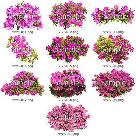 5b6fc019ef843f40d9001fa8