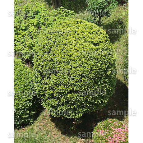 5baa09985496ff40ad00075b