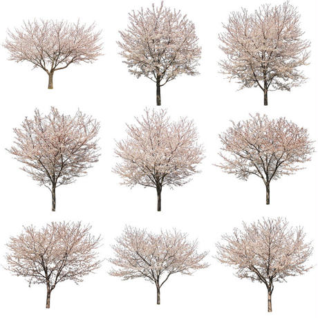 5b704b975496ff3953000097