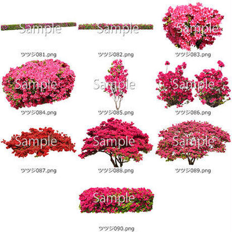 5b6fc3f35f78662460005cb2