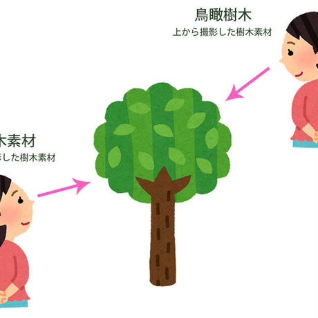 5baa085d5496ff648e00059b